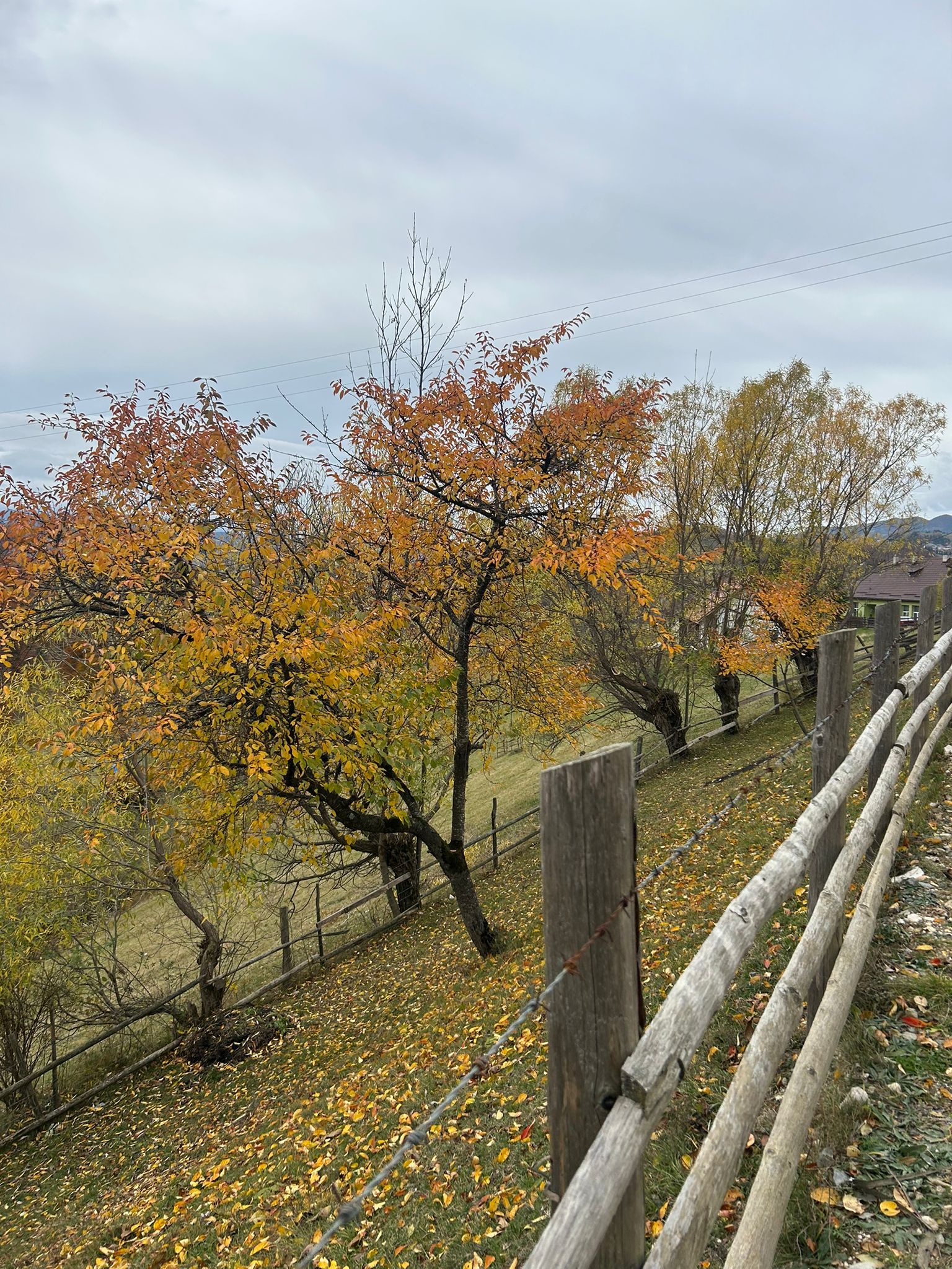 Măgura, la poalele Pietrei Craiului